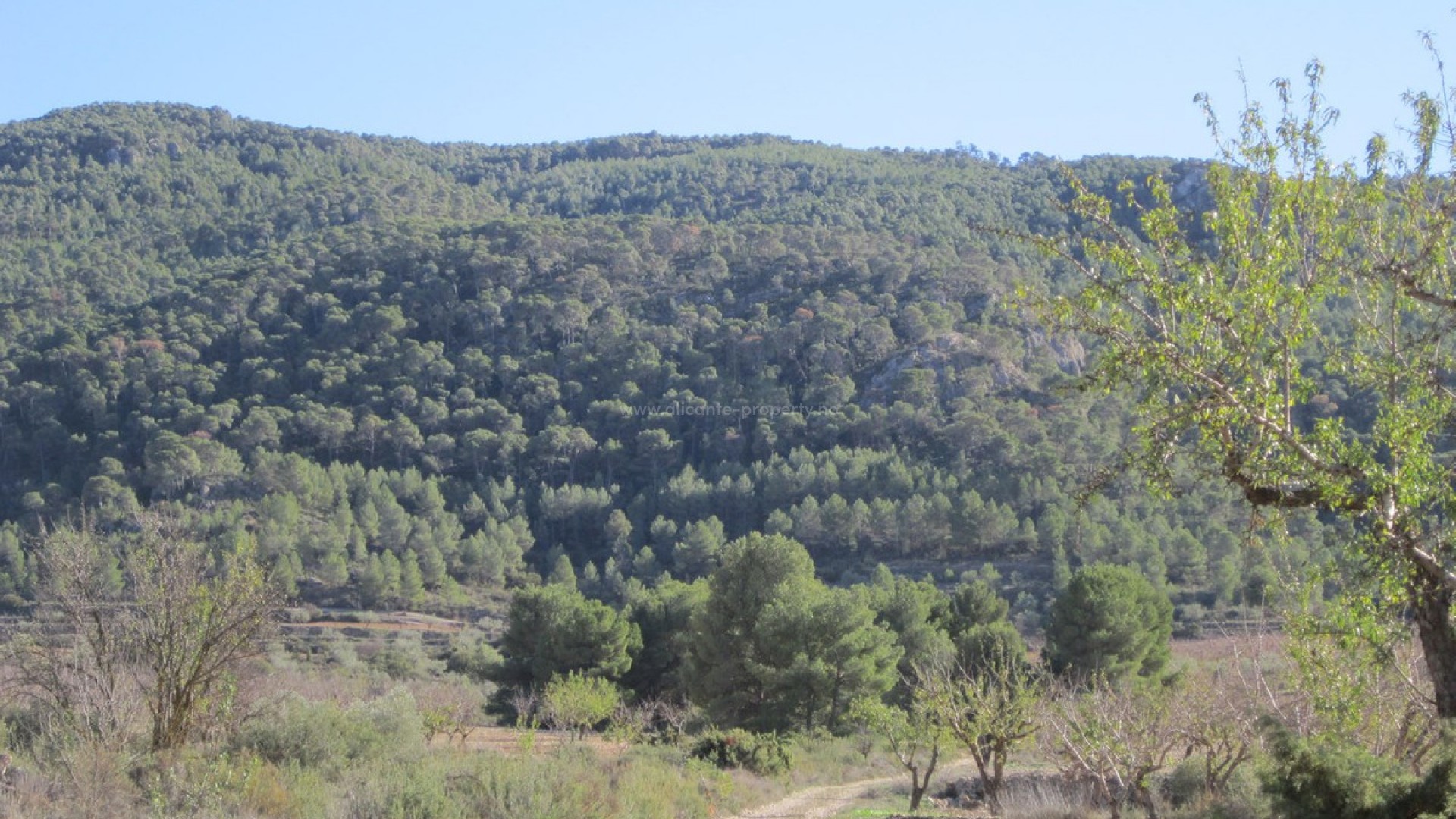 Tierra en Villena Centro