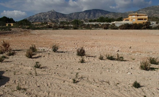 Tomt / Land - Brukt bolig - Crevillente - BR-26177