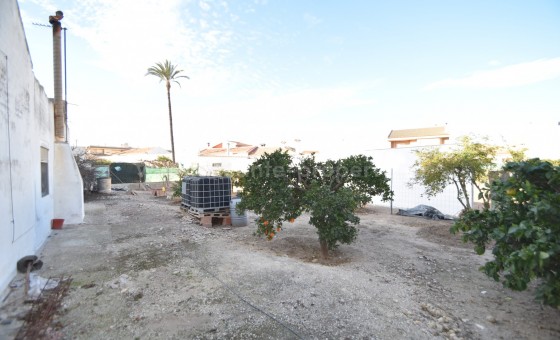 Tomt / Land - Brukt bolig - Daya Nueva - BR-84697