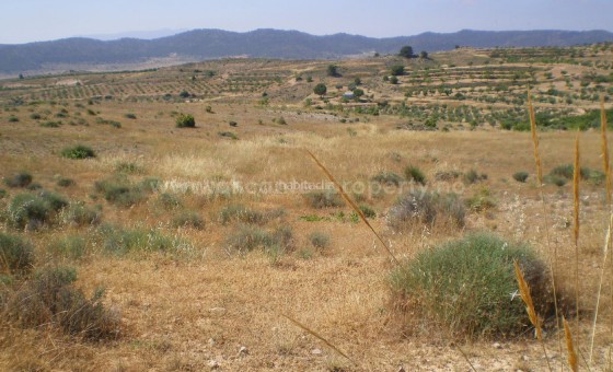 Tomt / Land - Brukt bolig - Murcia - Yecla