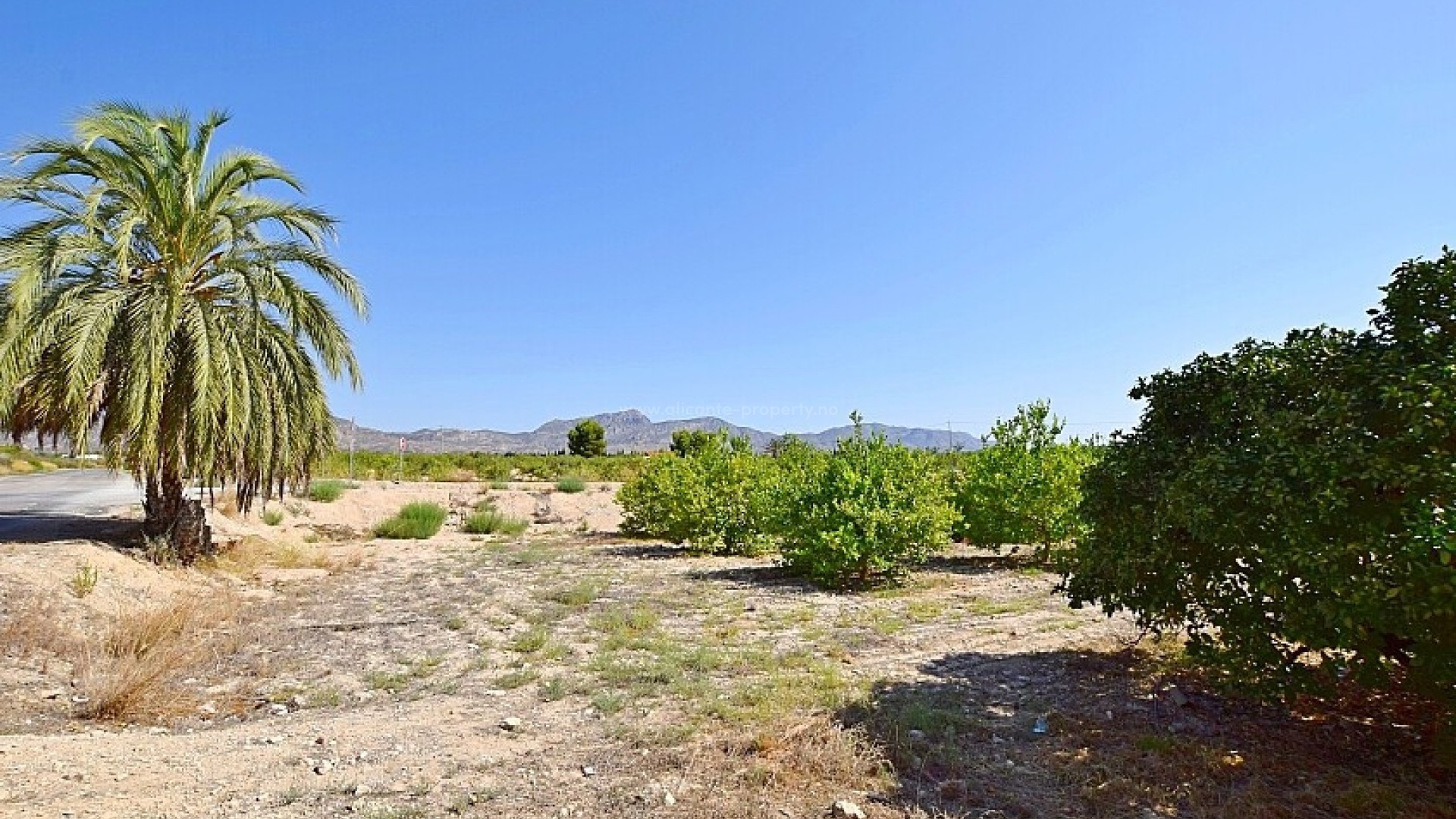 Villa en Albatera Centro