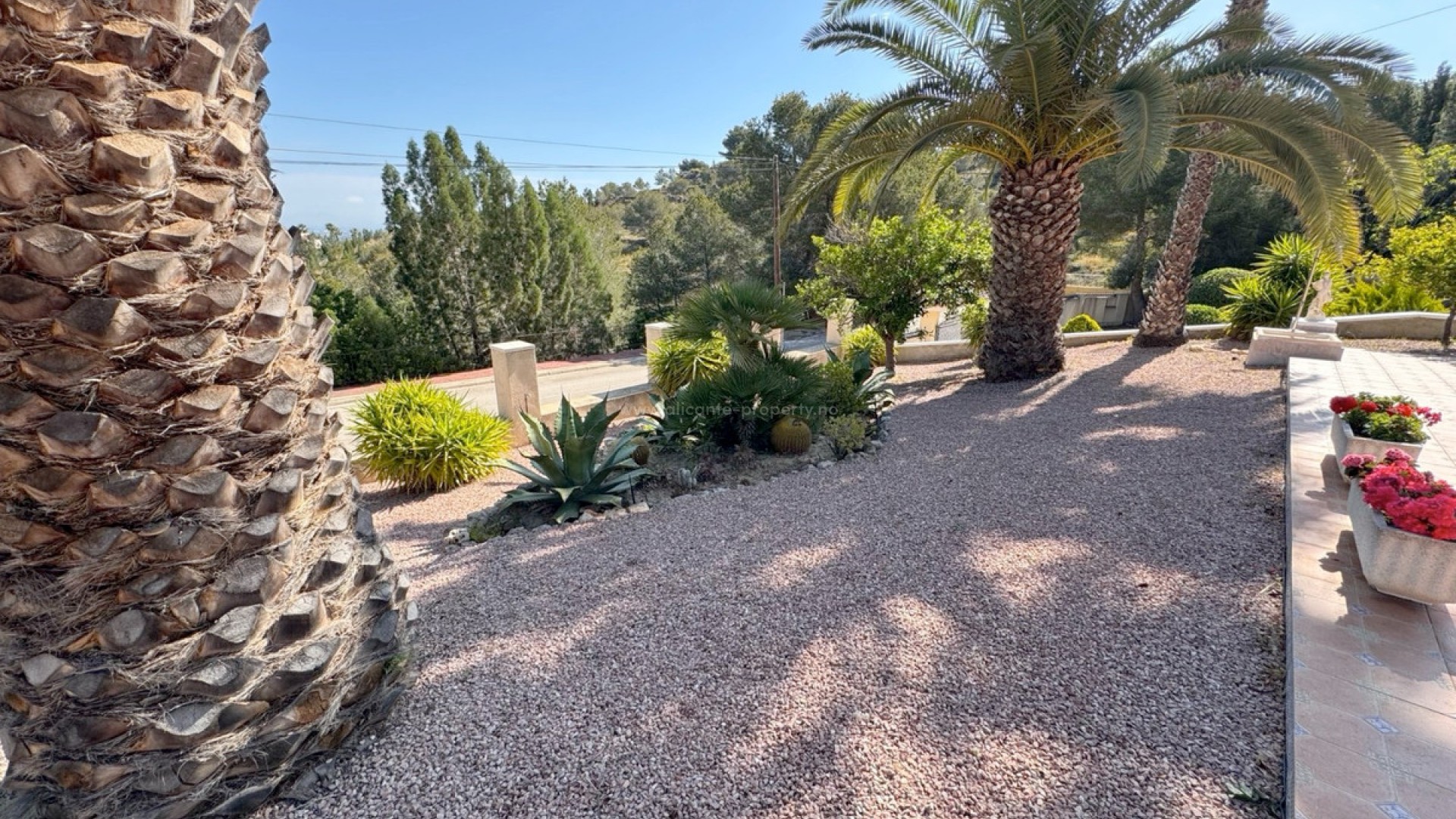 Villa en Algorfa Centro