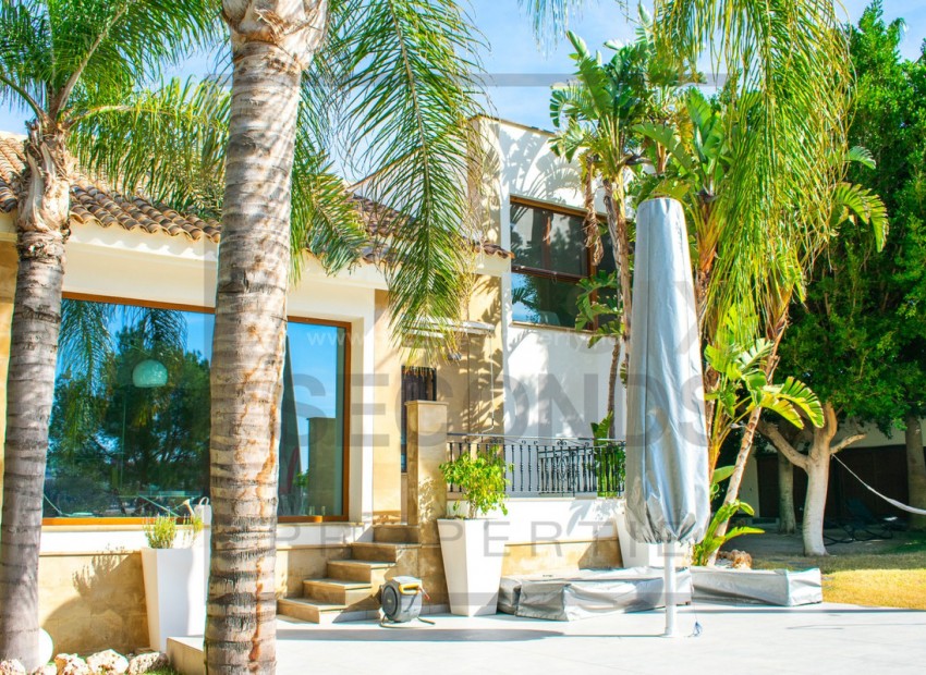 Villa en Algorfa Centro