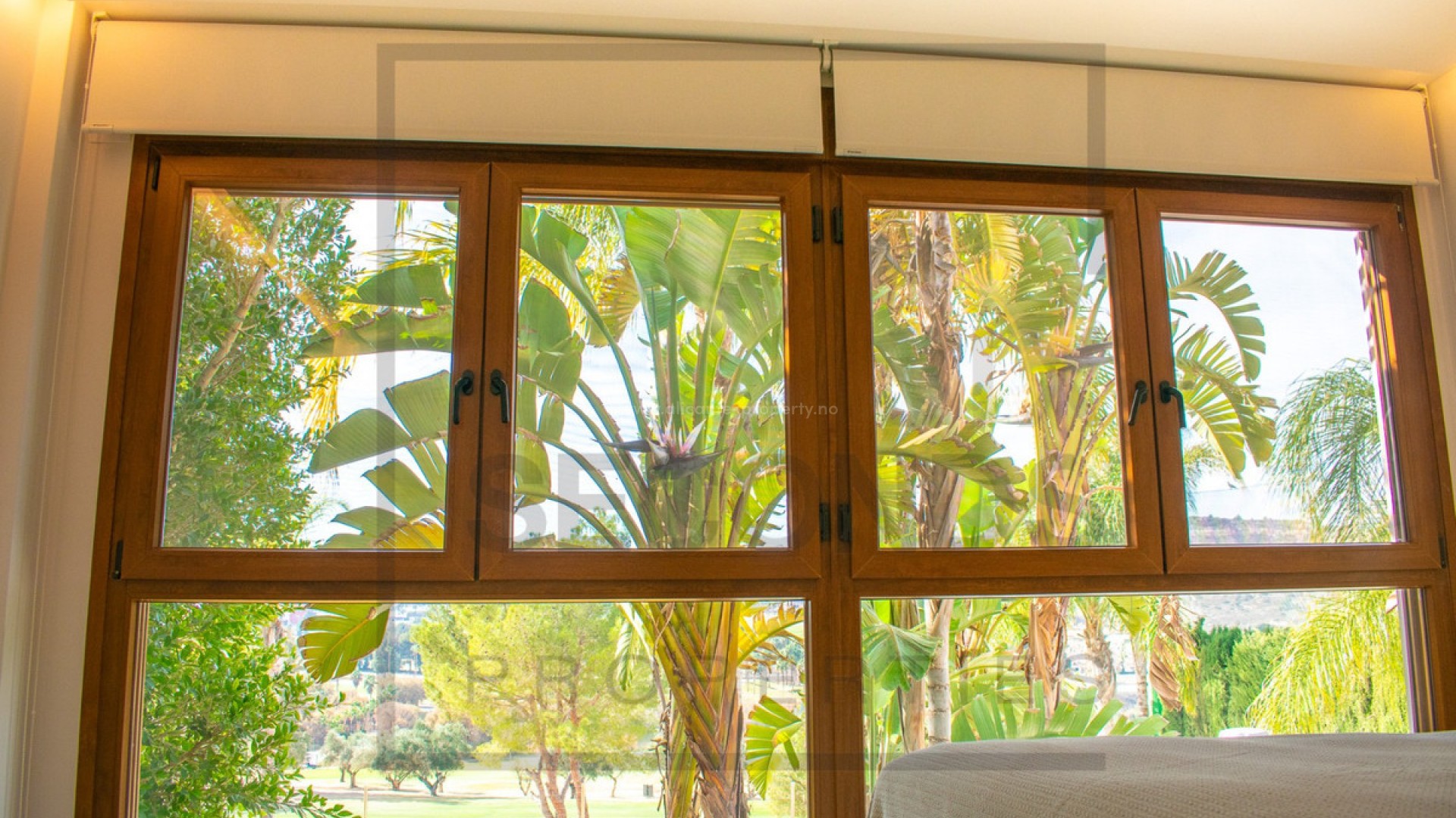 Villa en Algorfa Centro