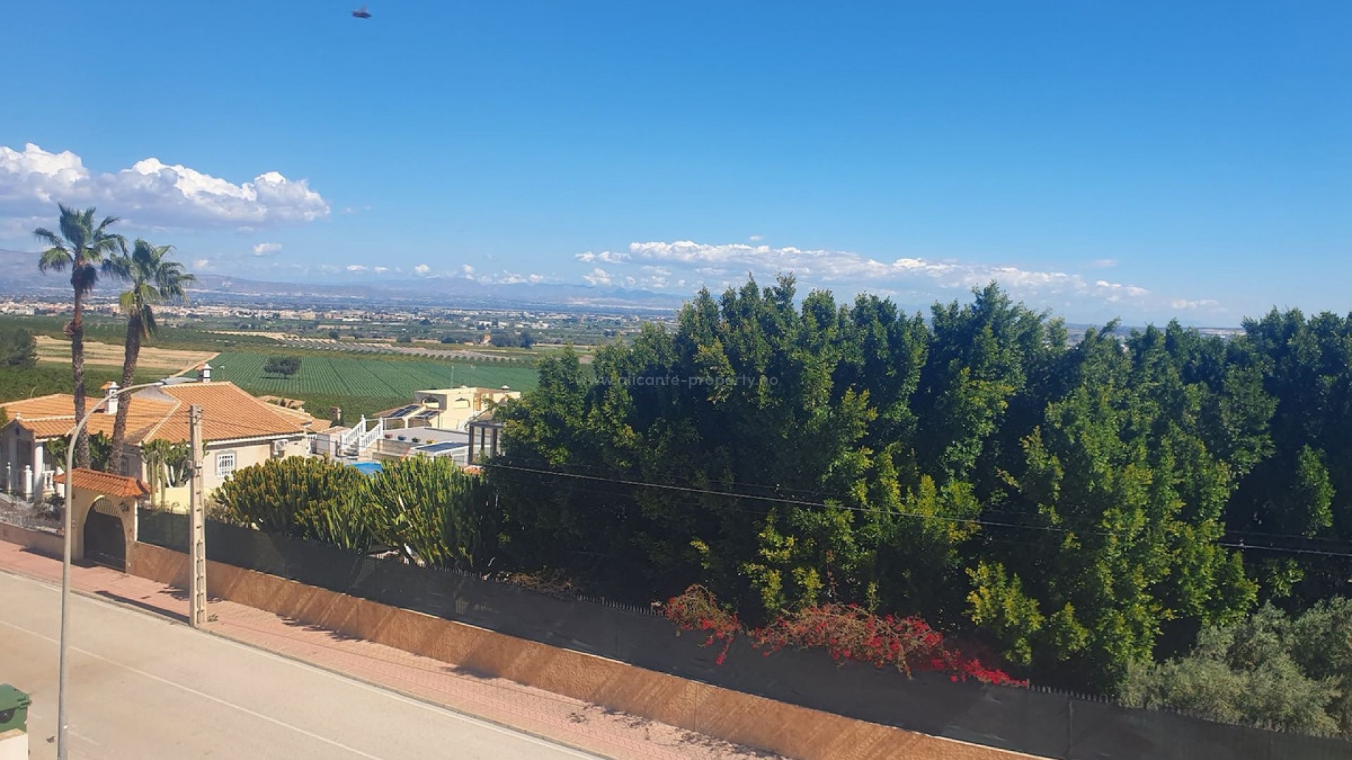 Villa en Algorfa Centro