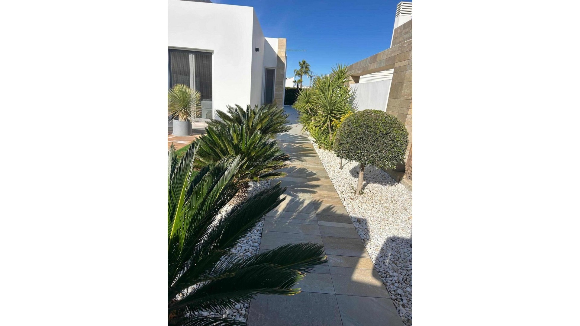 Villa en Algorfa Centro