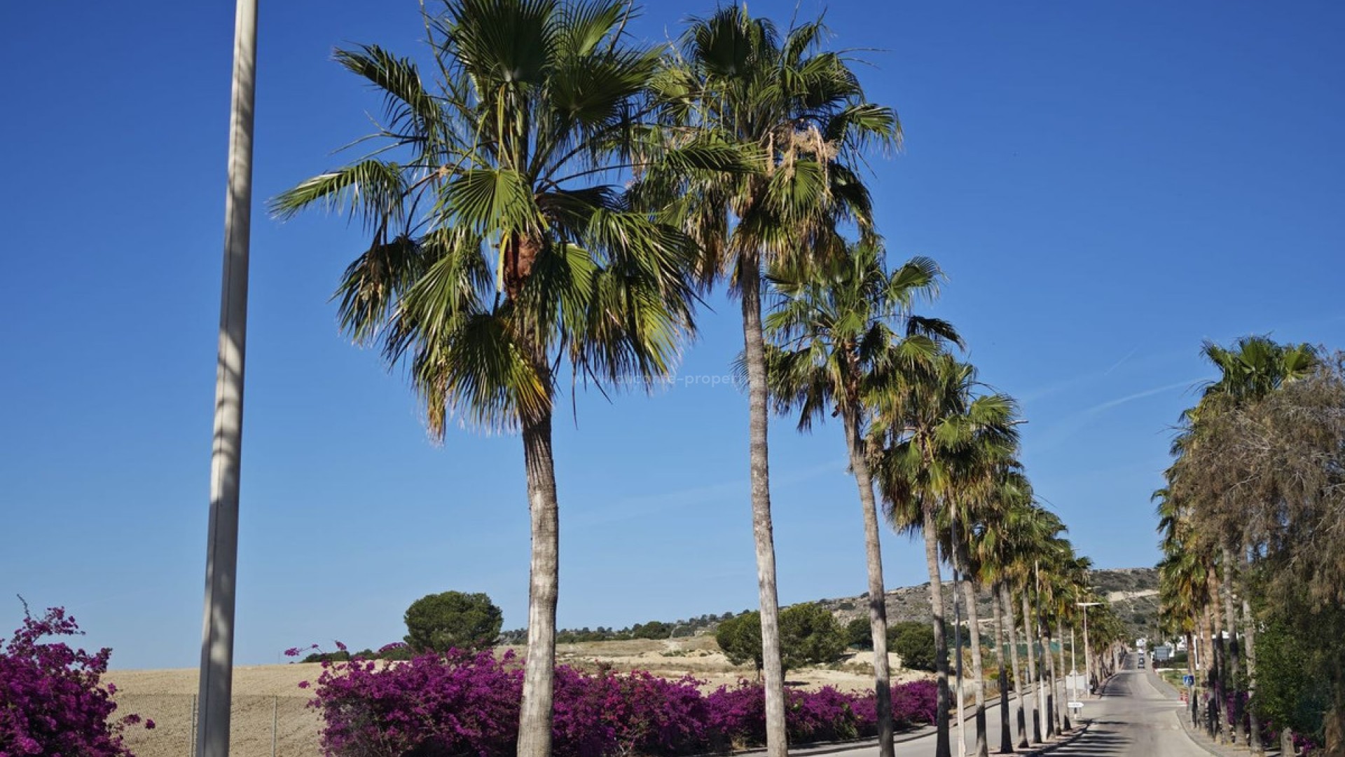 Villa en Algorfa Centro