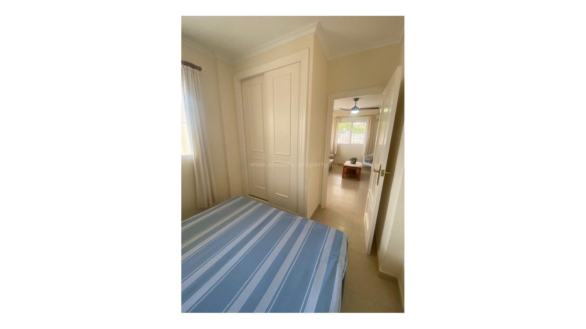 Villa en Algorfa Centro