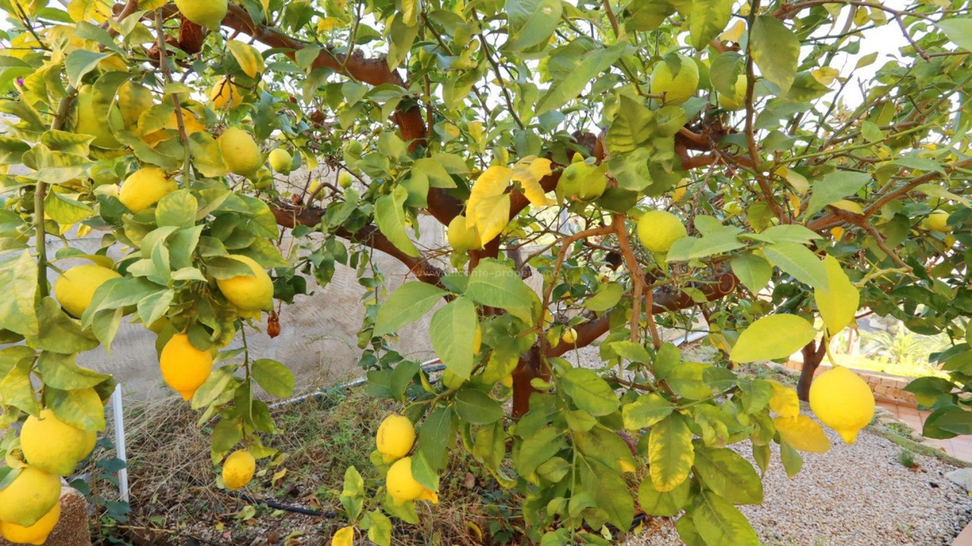 Villa en Altea Centro