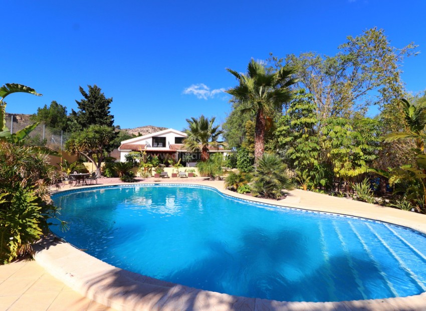 Villa en Aspe Centro