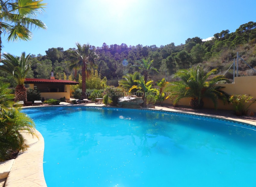 Villa en Aspe Centro