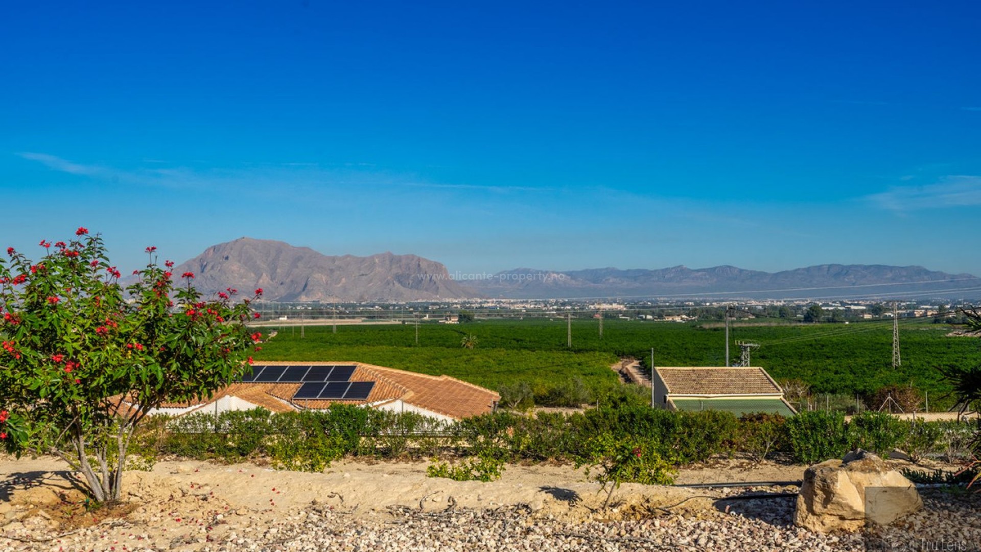 Villa en Benejuzar Centro