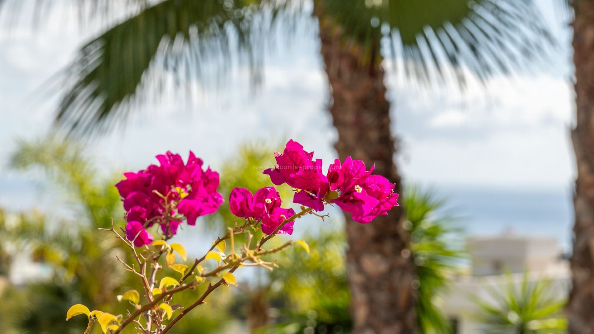 Villa en Benissa Coast