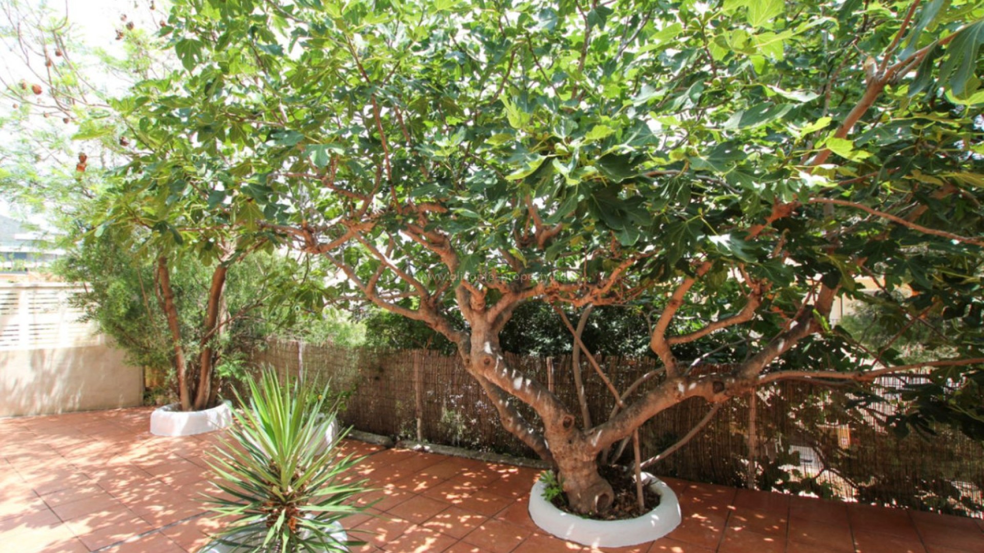 Villa en Calpe Centro