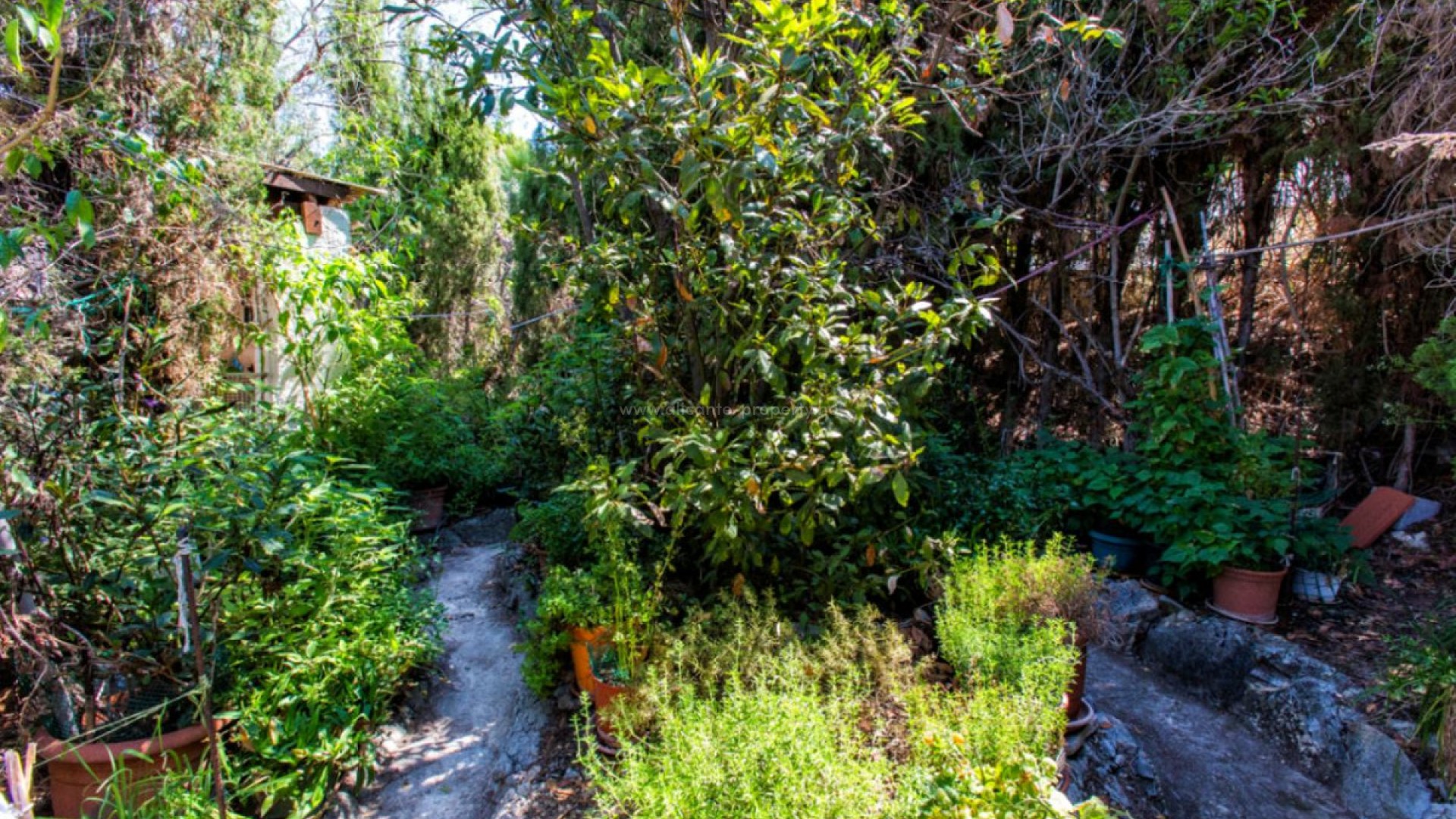 Villa en Calpe Centro