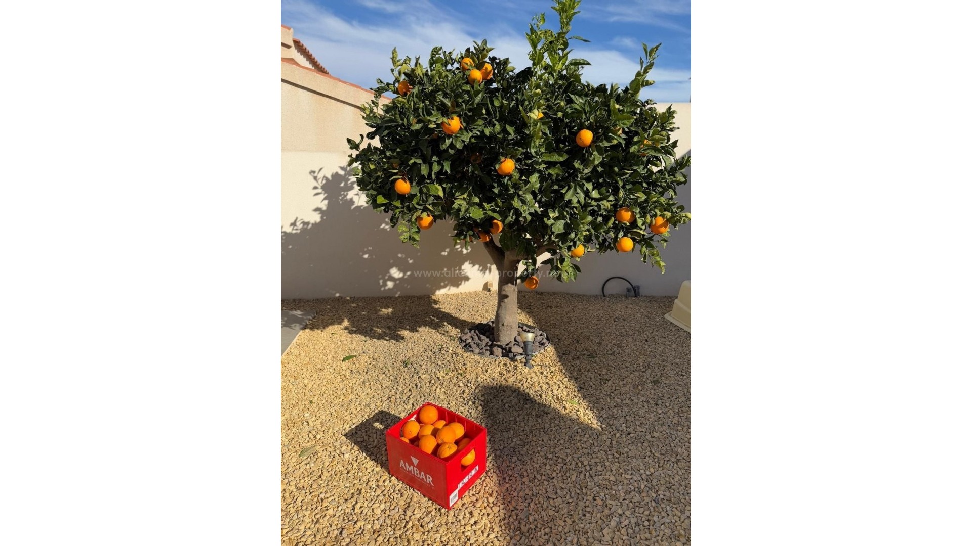 Villa en Ciudad Quesada