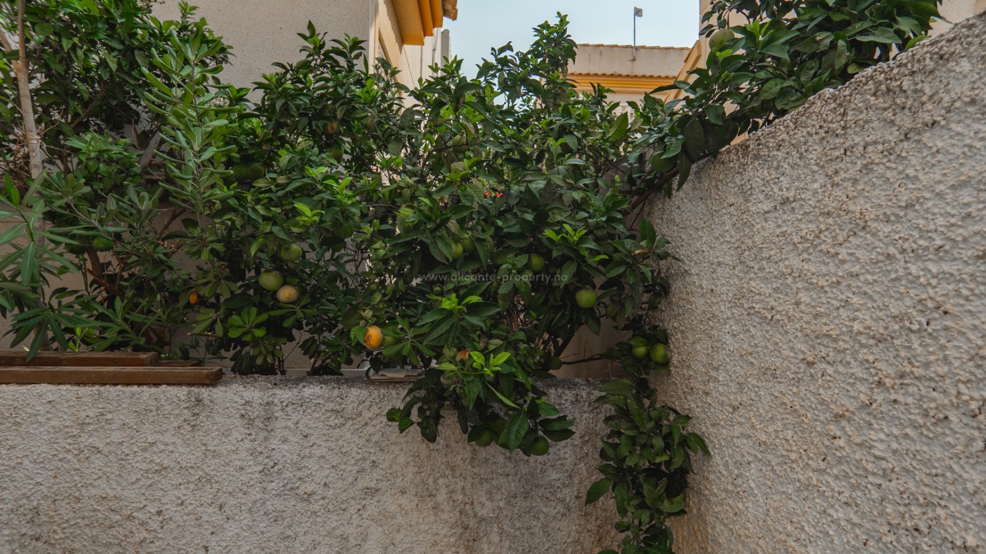 Villa en Ciudad Quesada