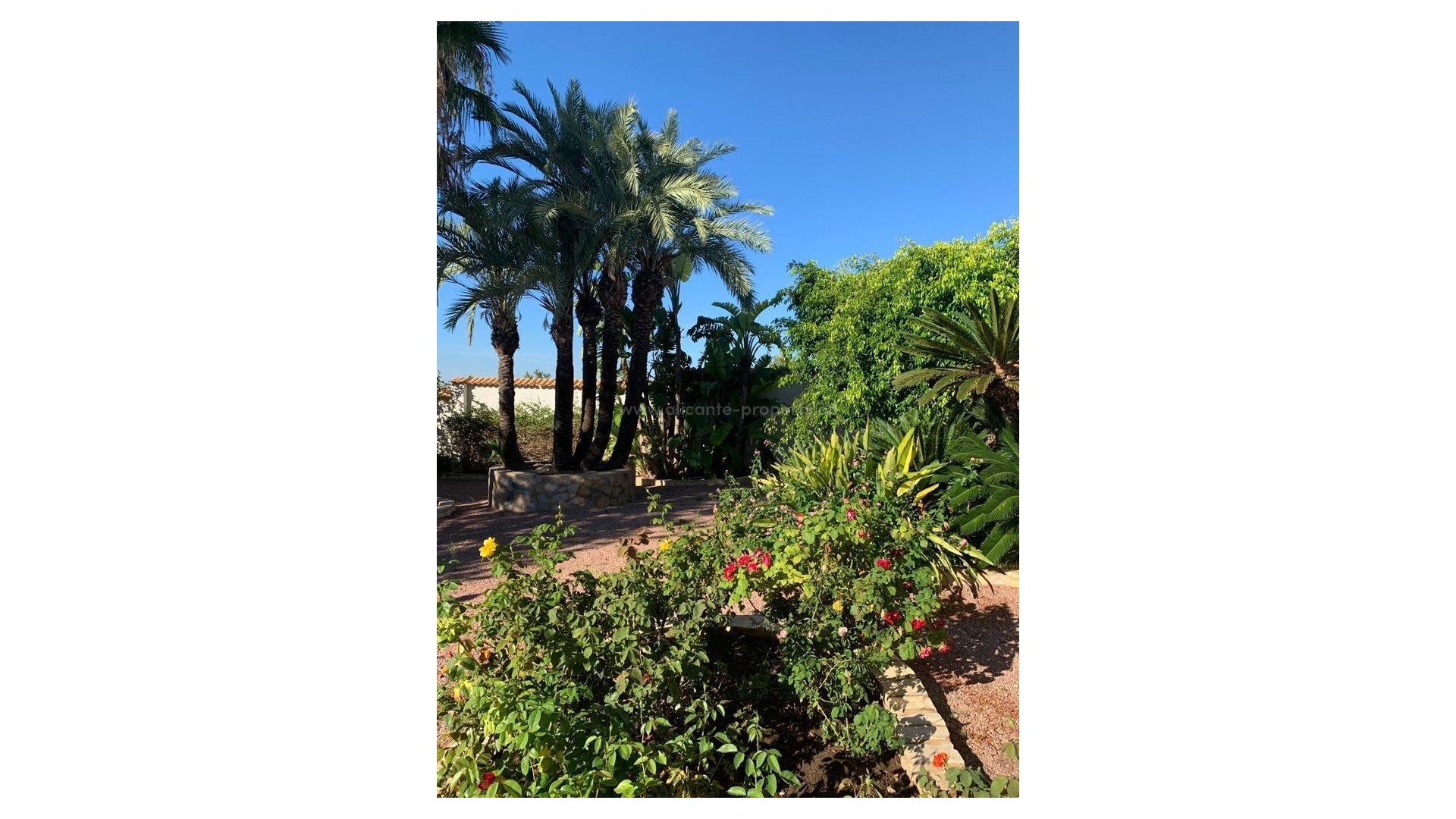 Villa en Ciudad Quesada