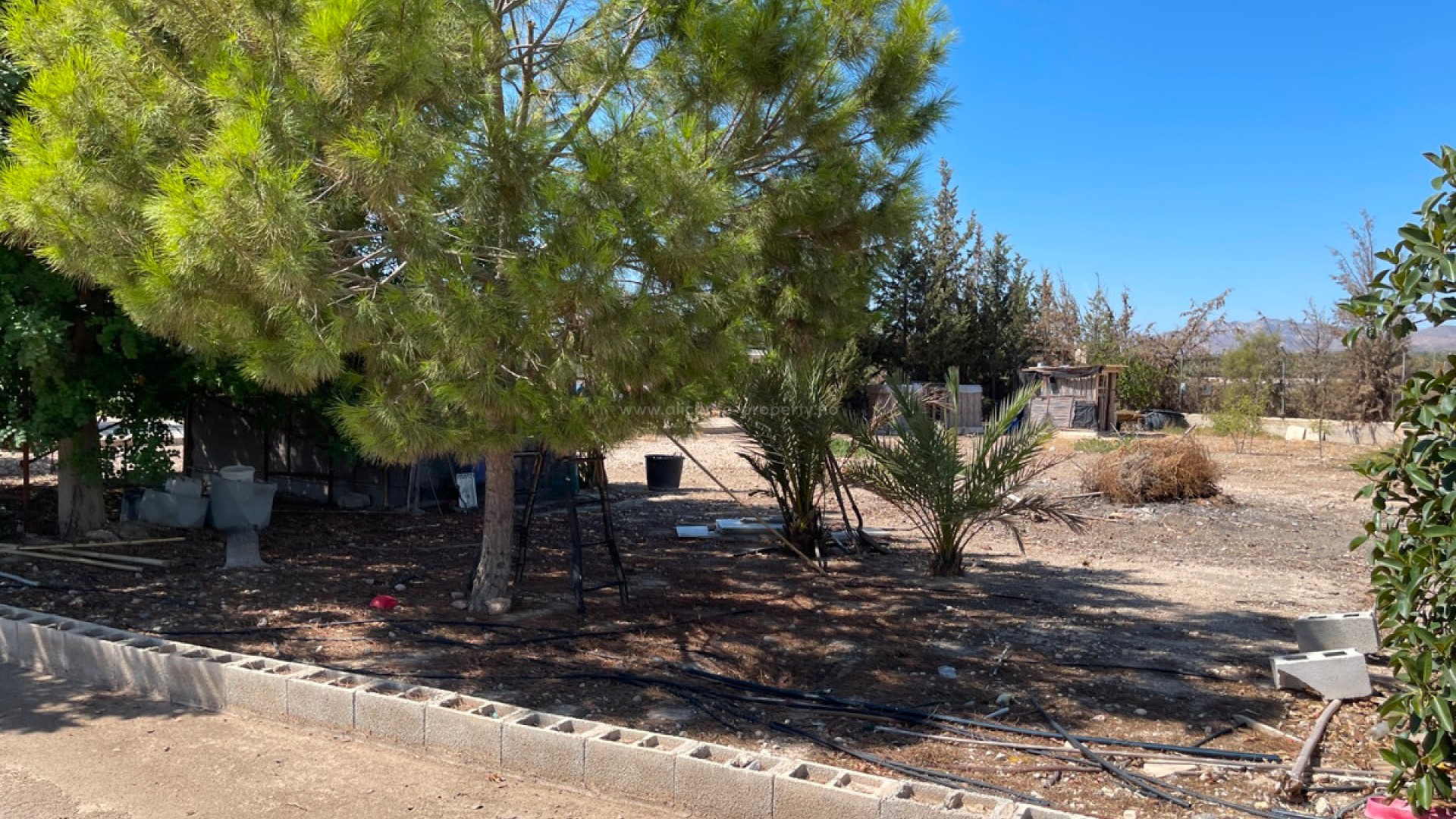 Villa en Crevillente - Crevillent Centro