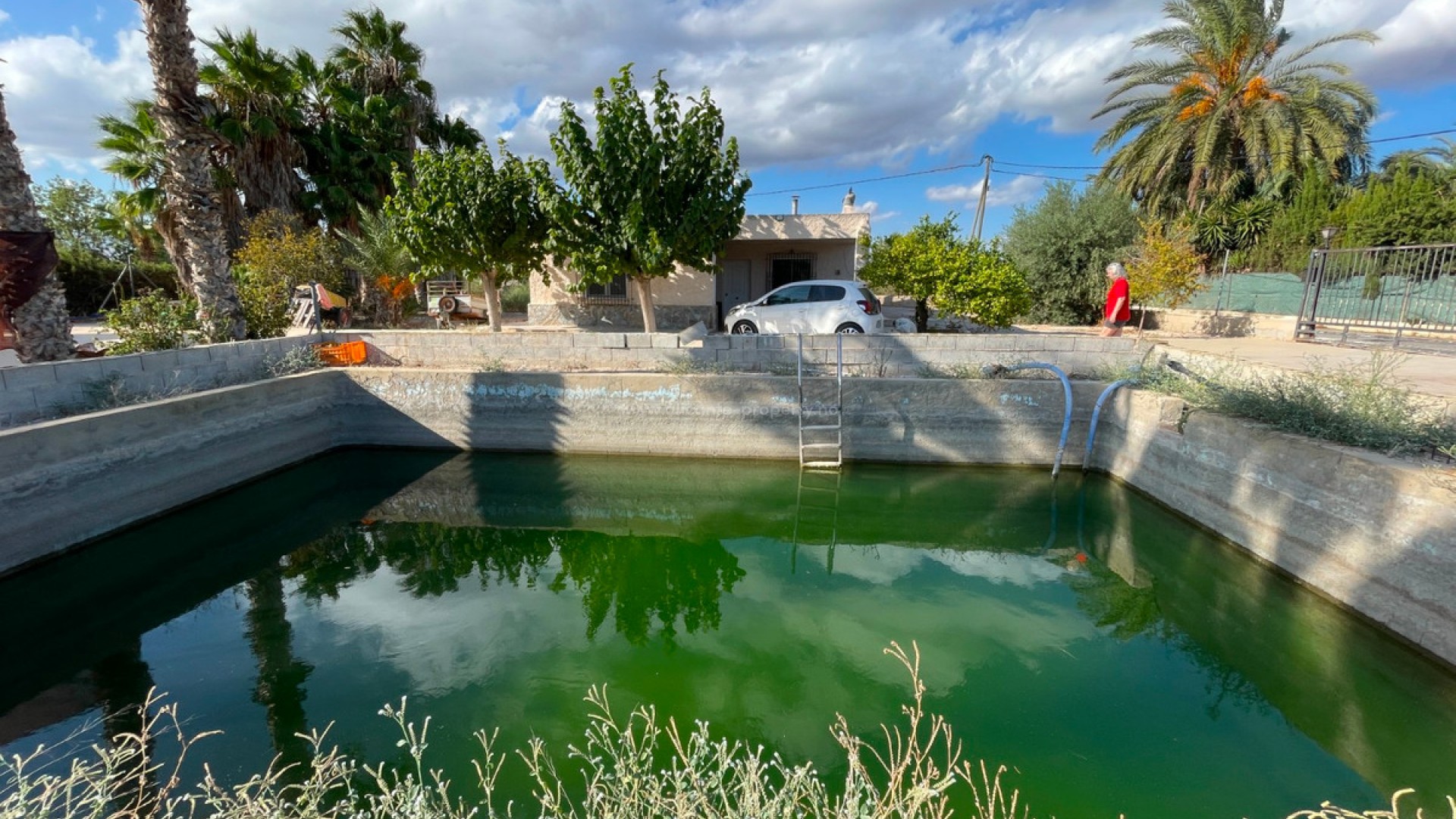 Villa en Crevillente - Crevillent Centro