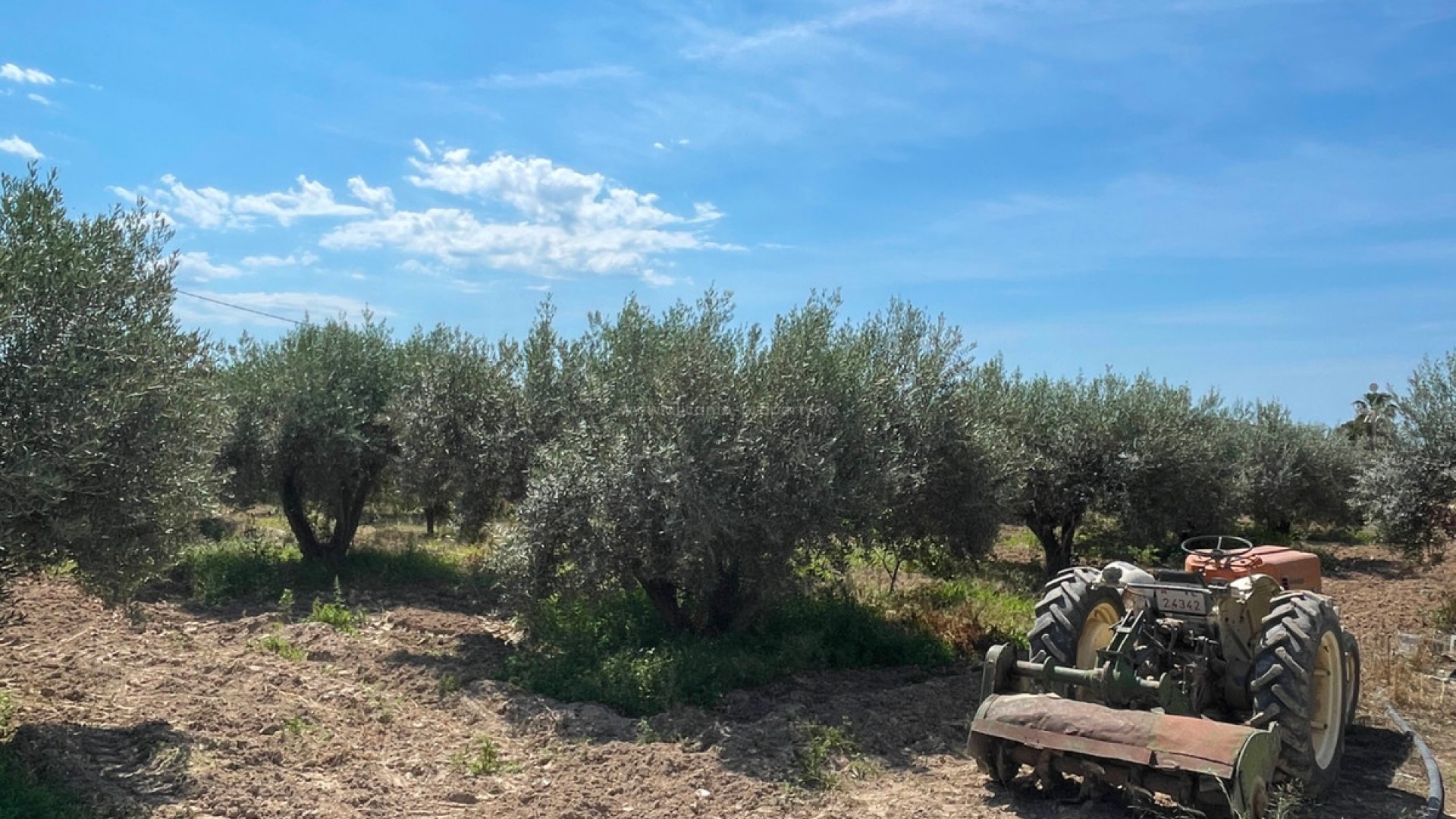 Villa en Crevillente - Crevillent Centro