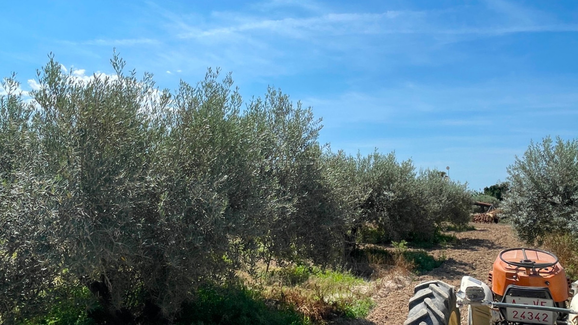 Villa en Crevillente - Crevillent Centro