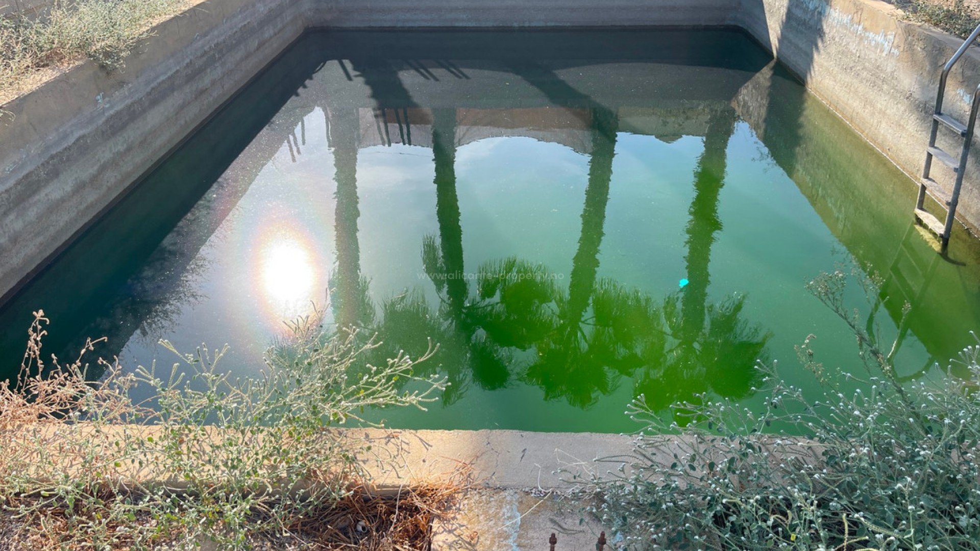 Villa en Crevillente - Crevillent Centro