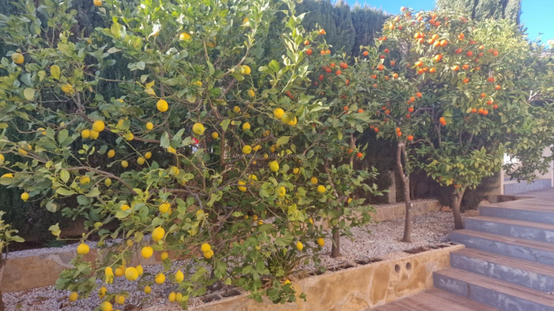 Villa en Cumbre del sol