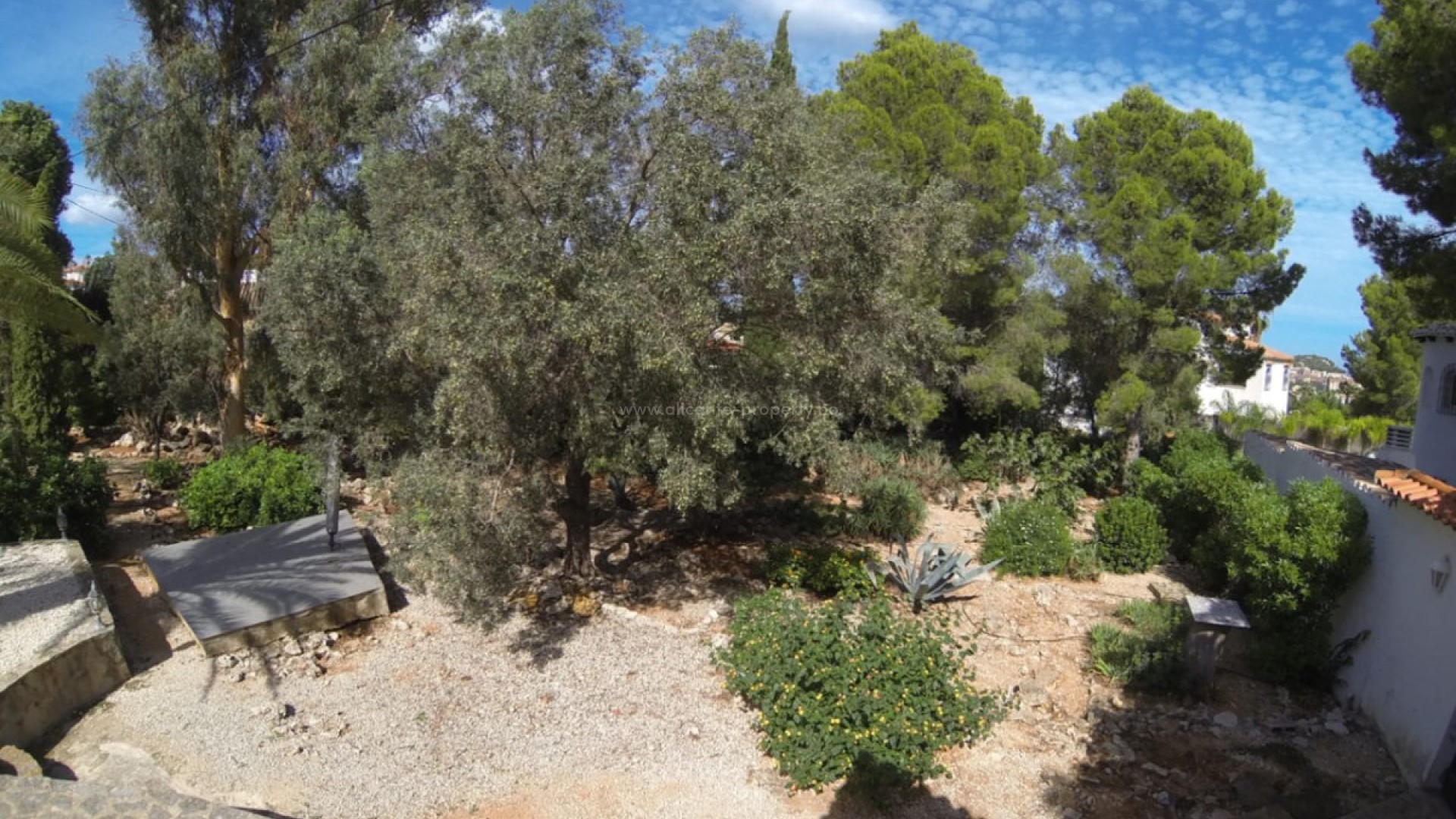 Villa en Denia Centro