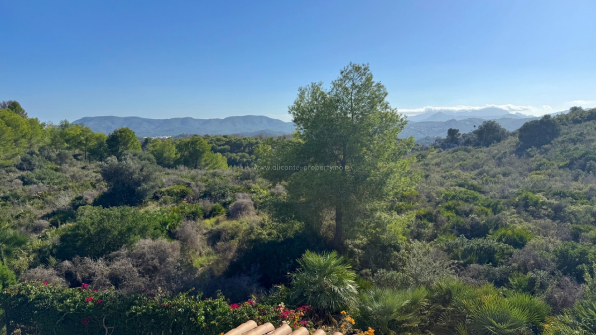 Villa en Denia Centro