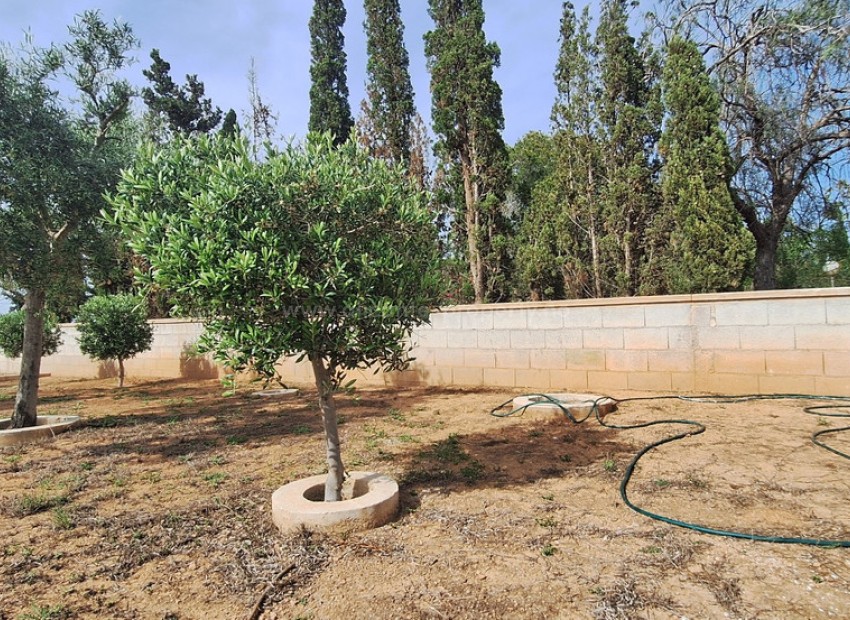 Villa en Elche Centro