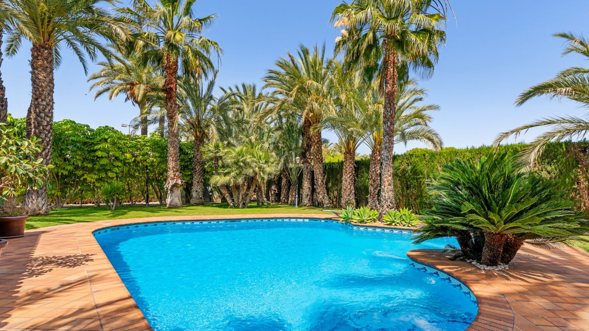 Villa en Elche Centro