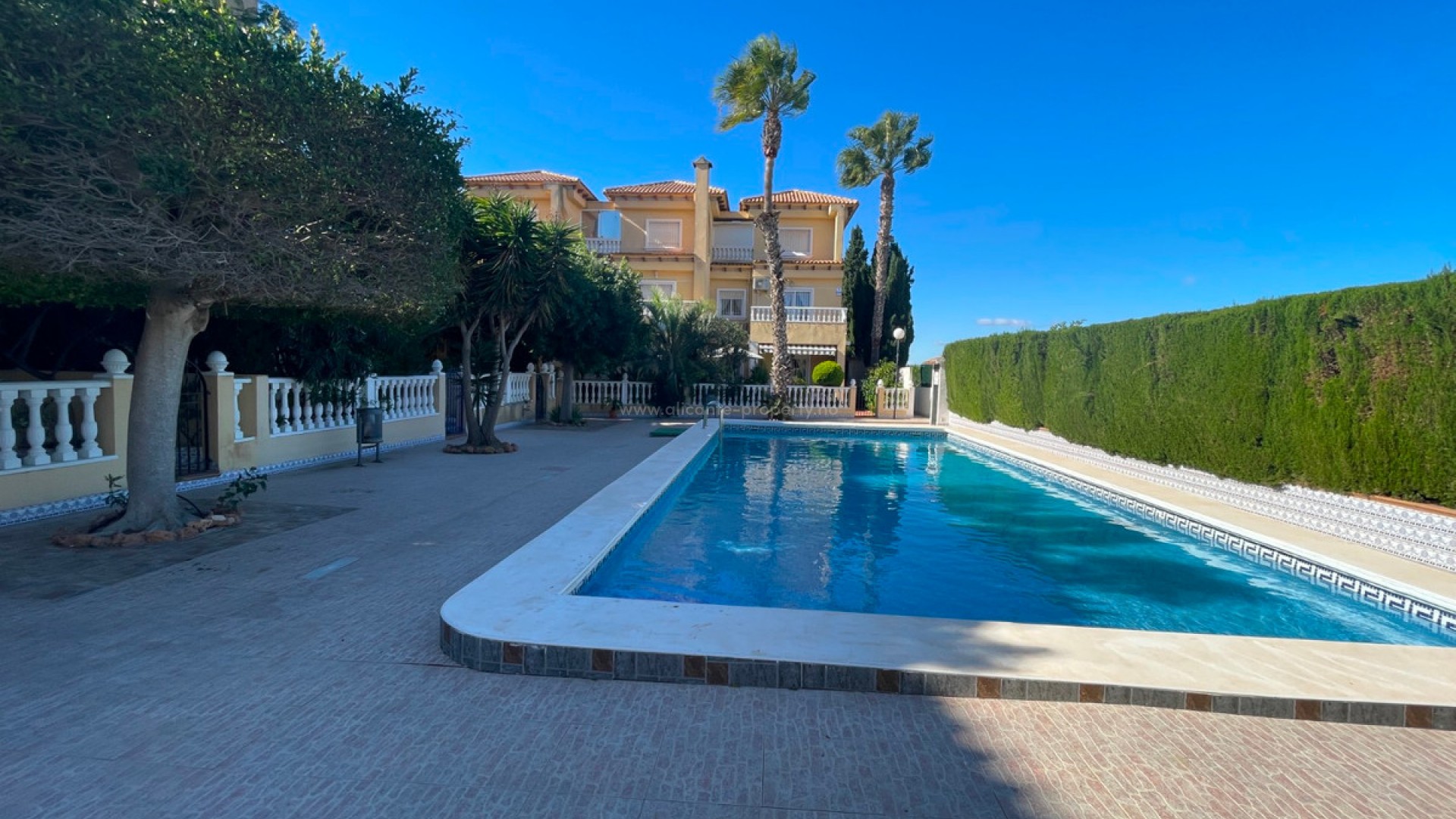 Villa en Guardamar del Segura Centro