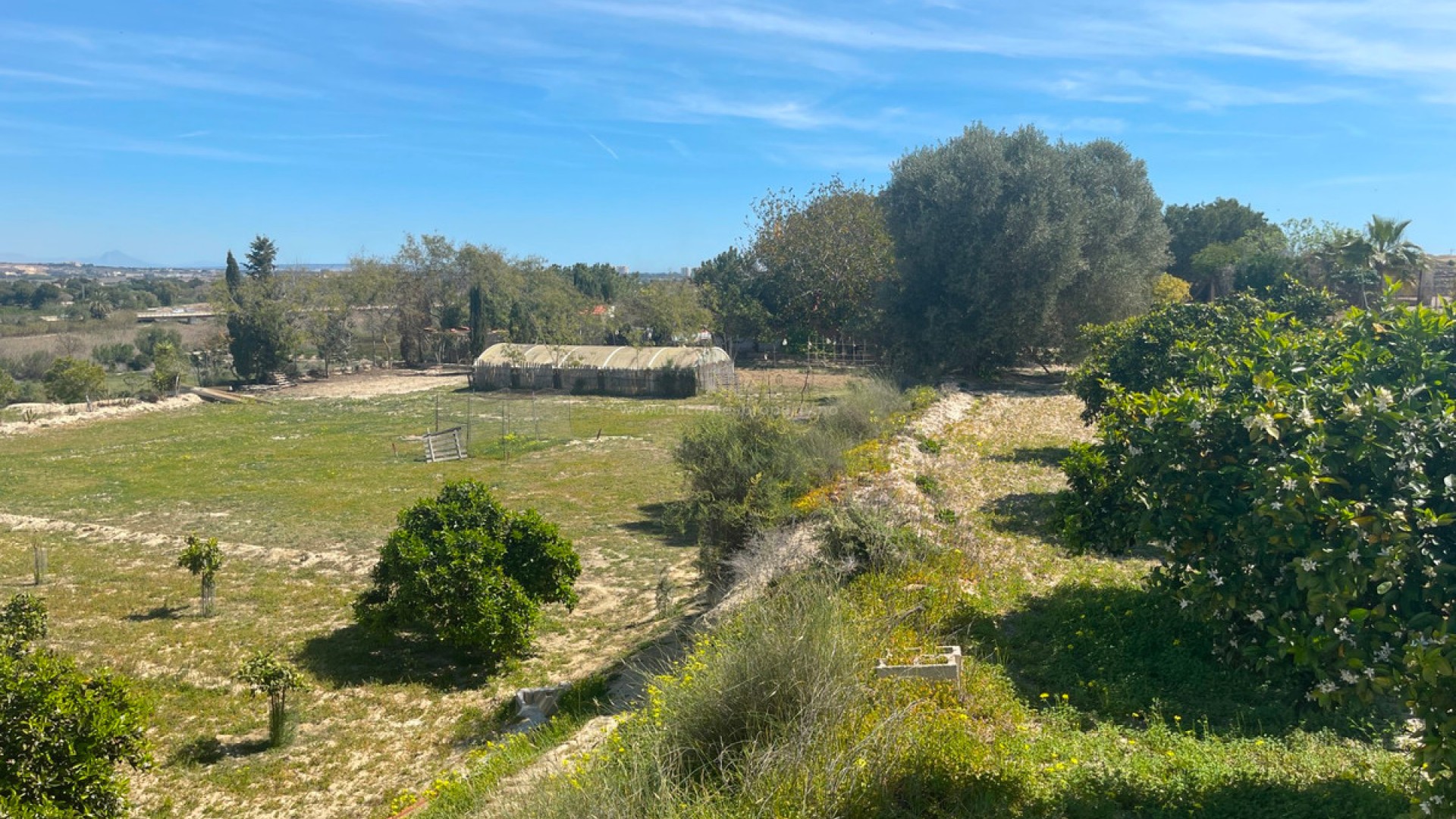 Villa en Guardamar del Segura Centro