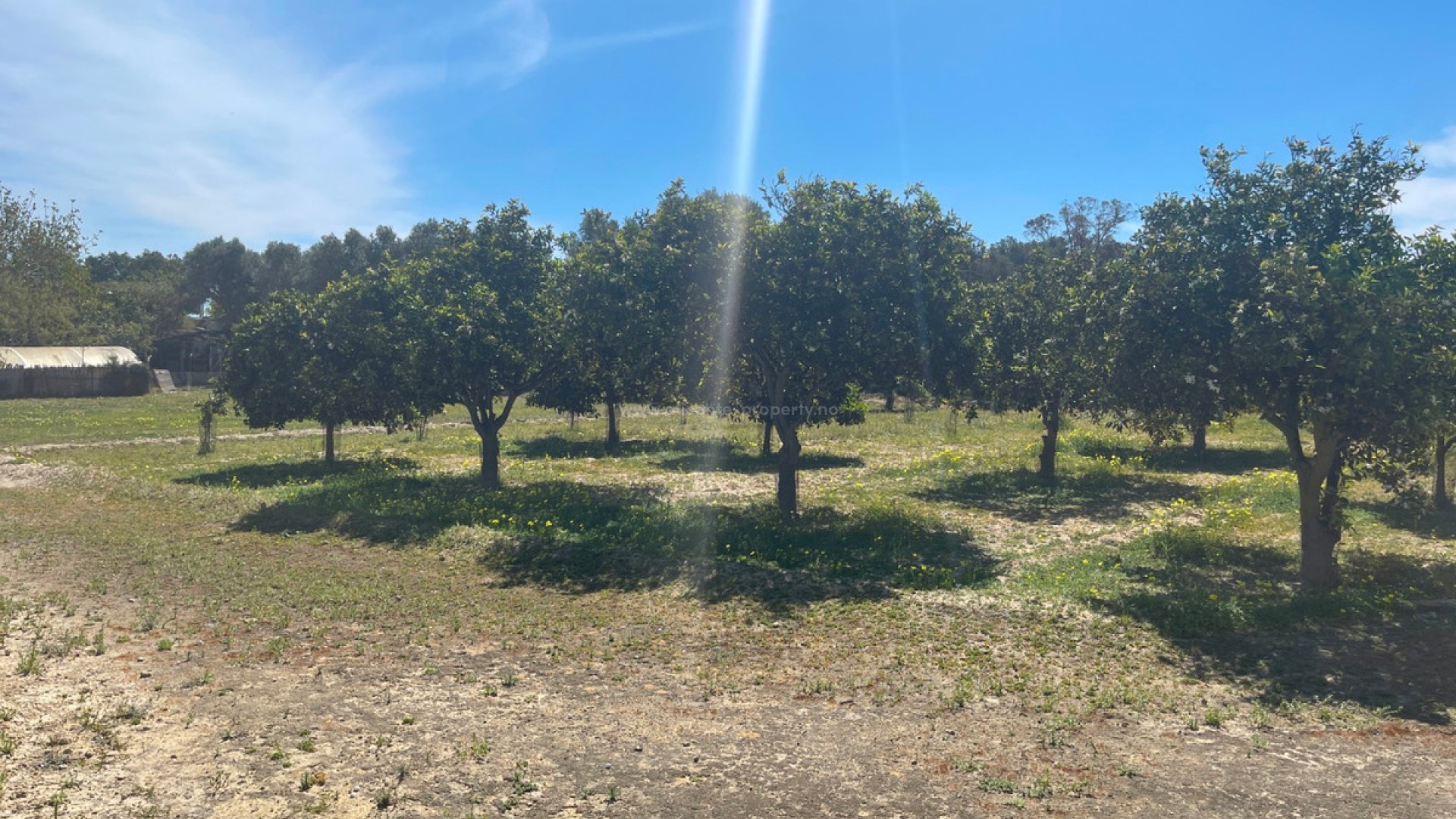 Villa en Guardamar del Segura Centro