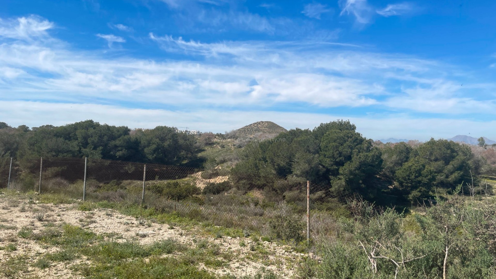 Villa en Guardamar del Segura Centro