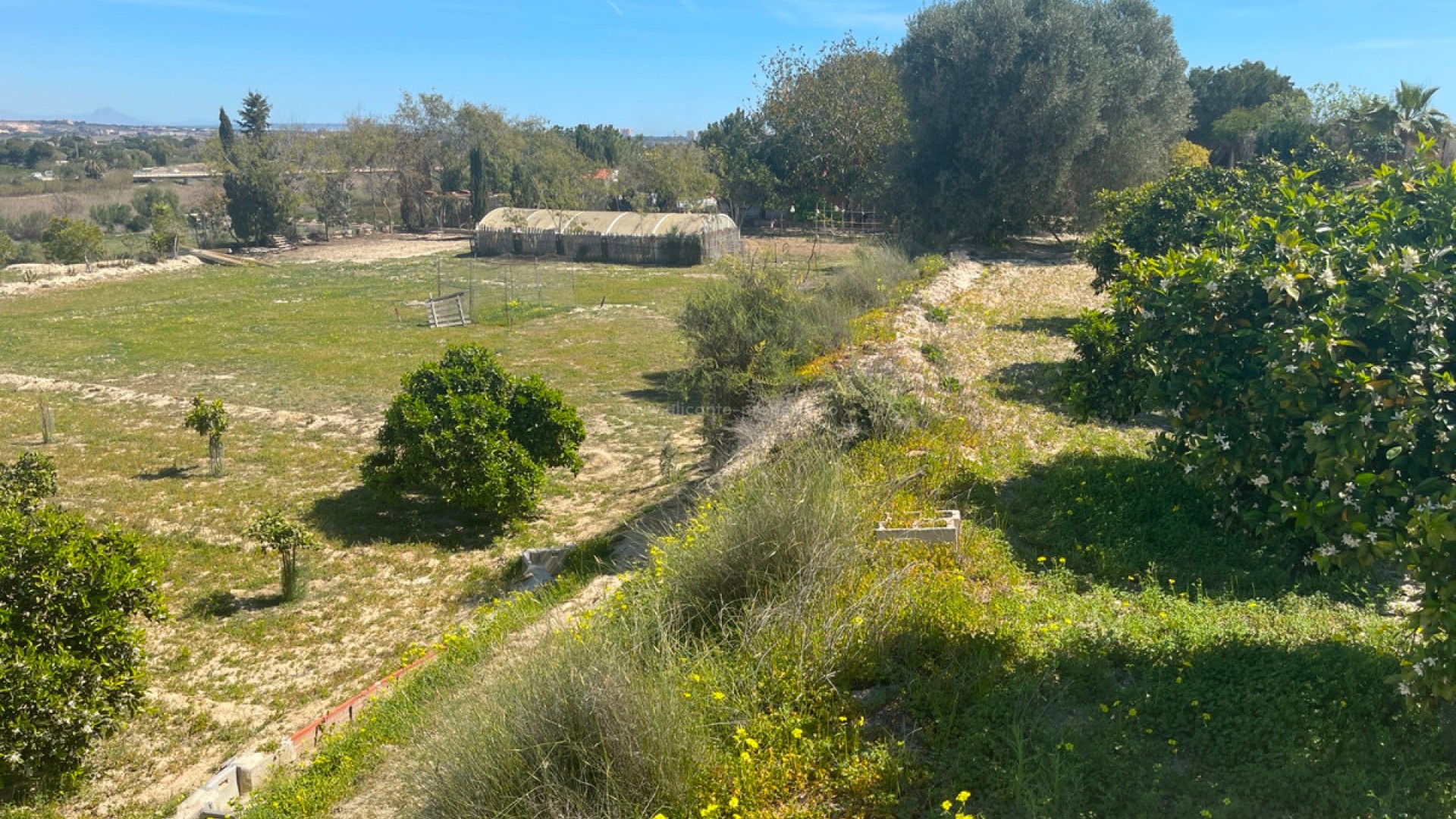 Villa en Guardamar del Segura Centro