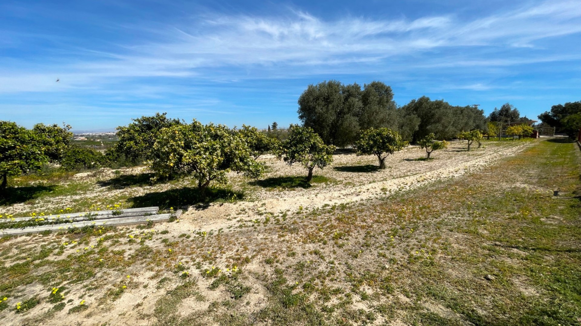 Villa en Guardamar del Segura Centro