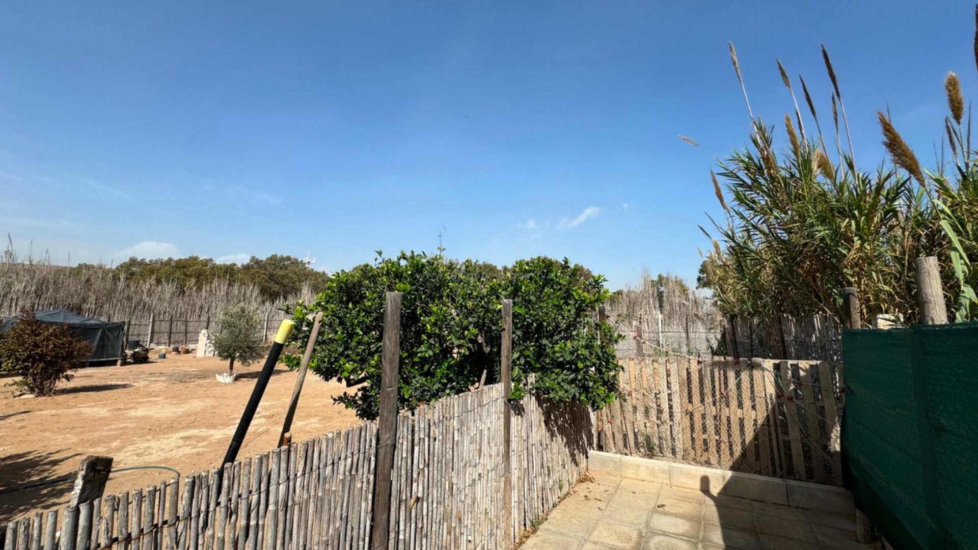 Villa en Guardamar del Segura Centro