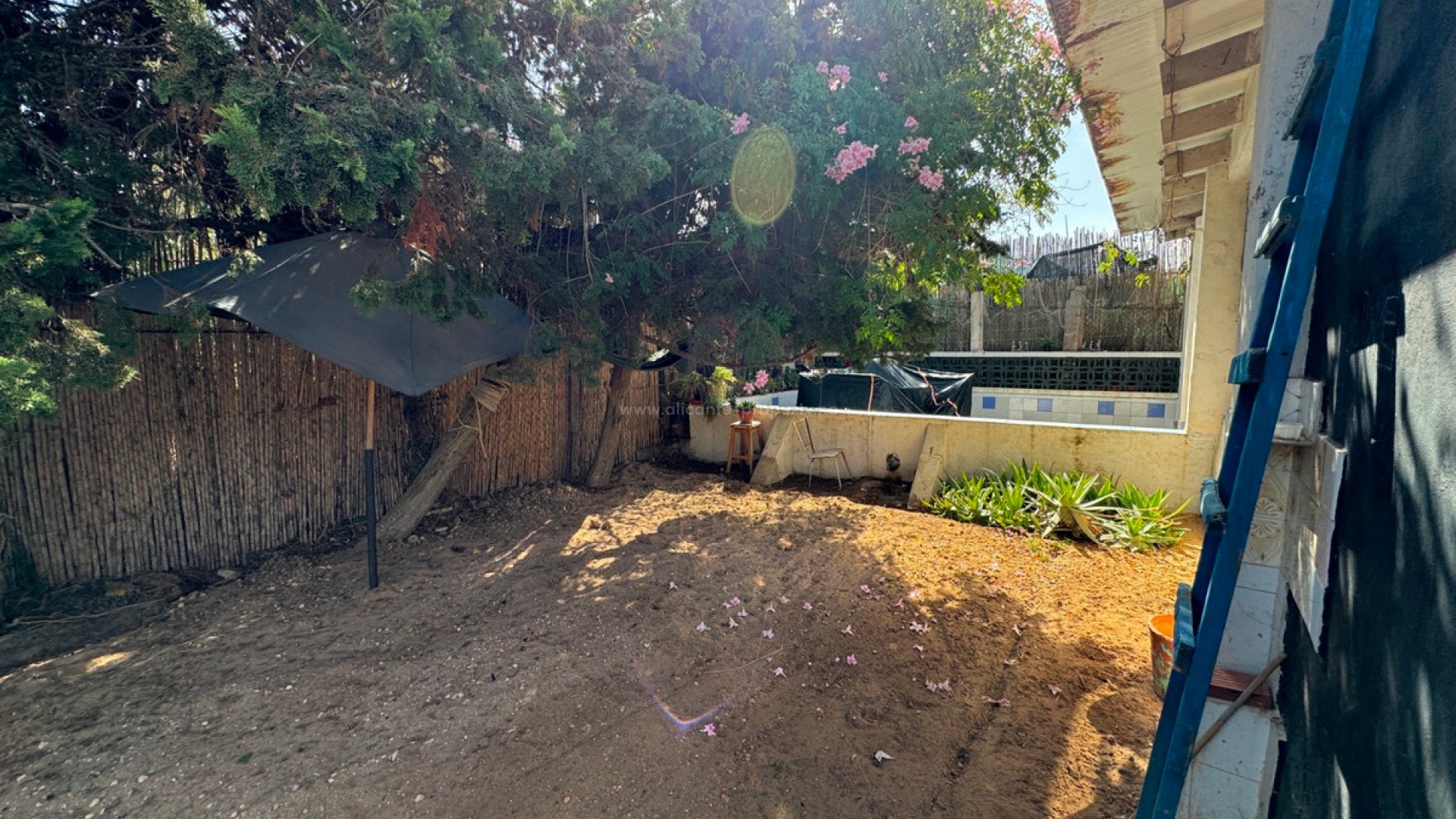 Villa en Guardamar del Segura Centro