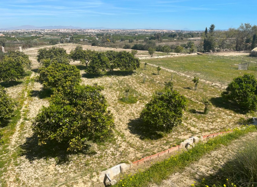 Villa en Guardamar del Segura Centro