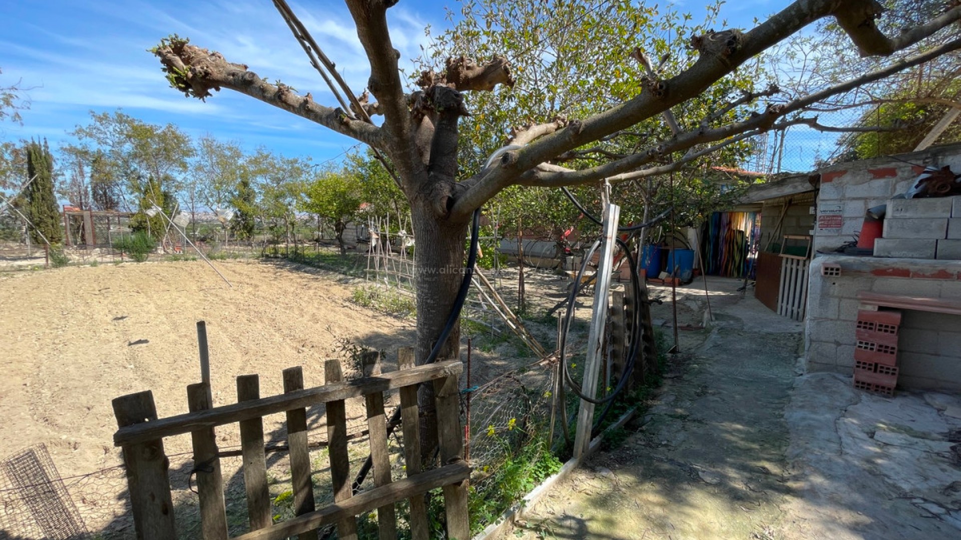 Villa en Guardamar del Segura Centro