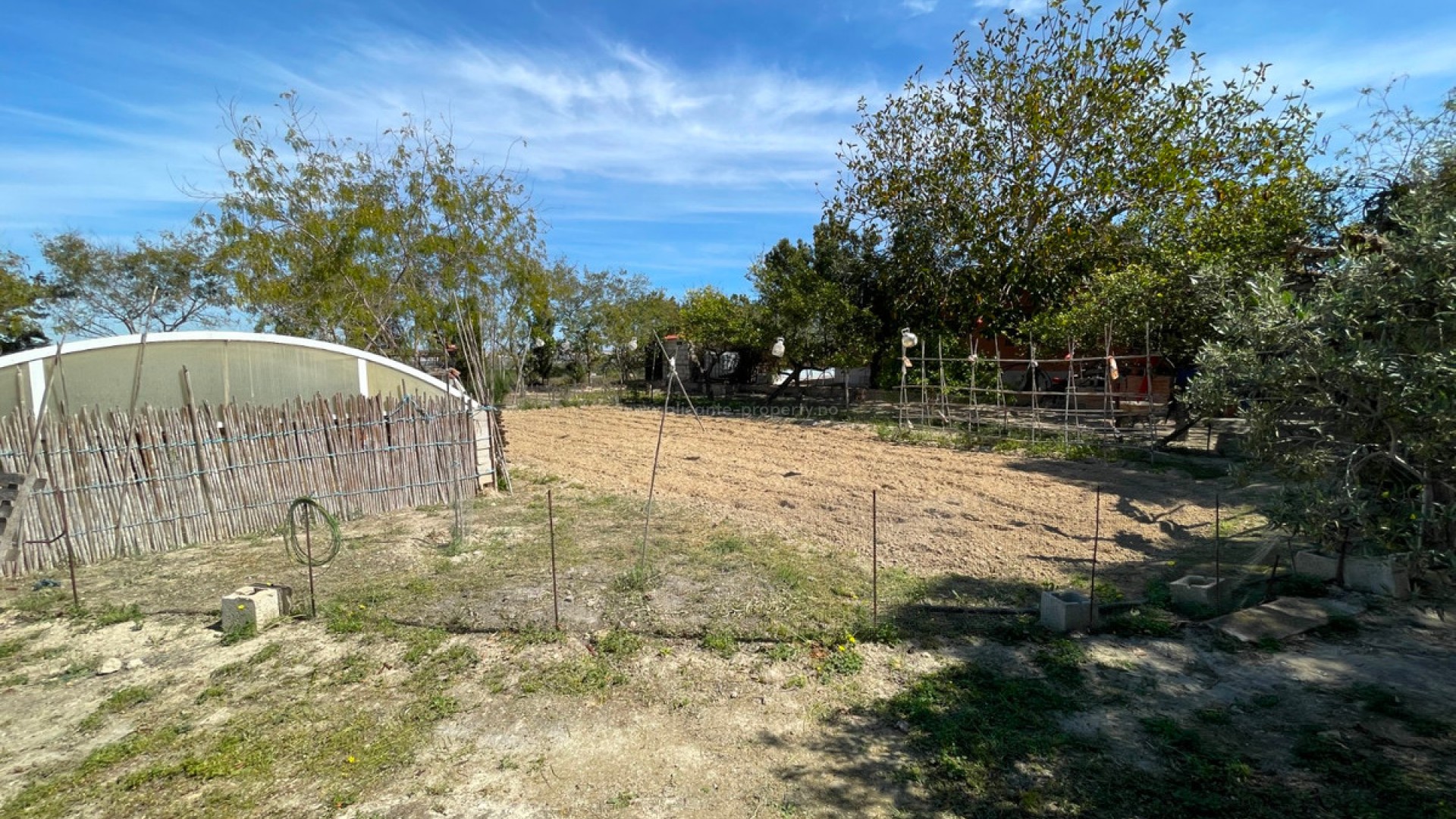 Villa en Guardamar del Segura Centro