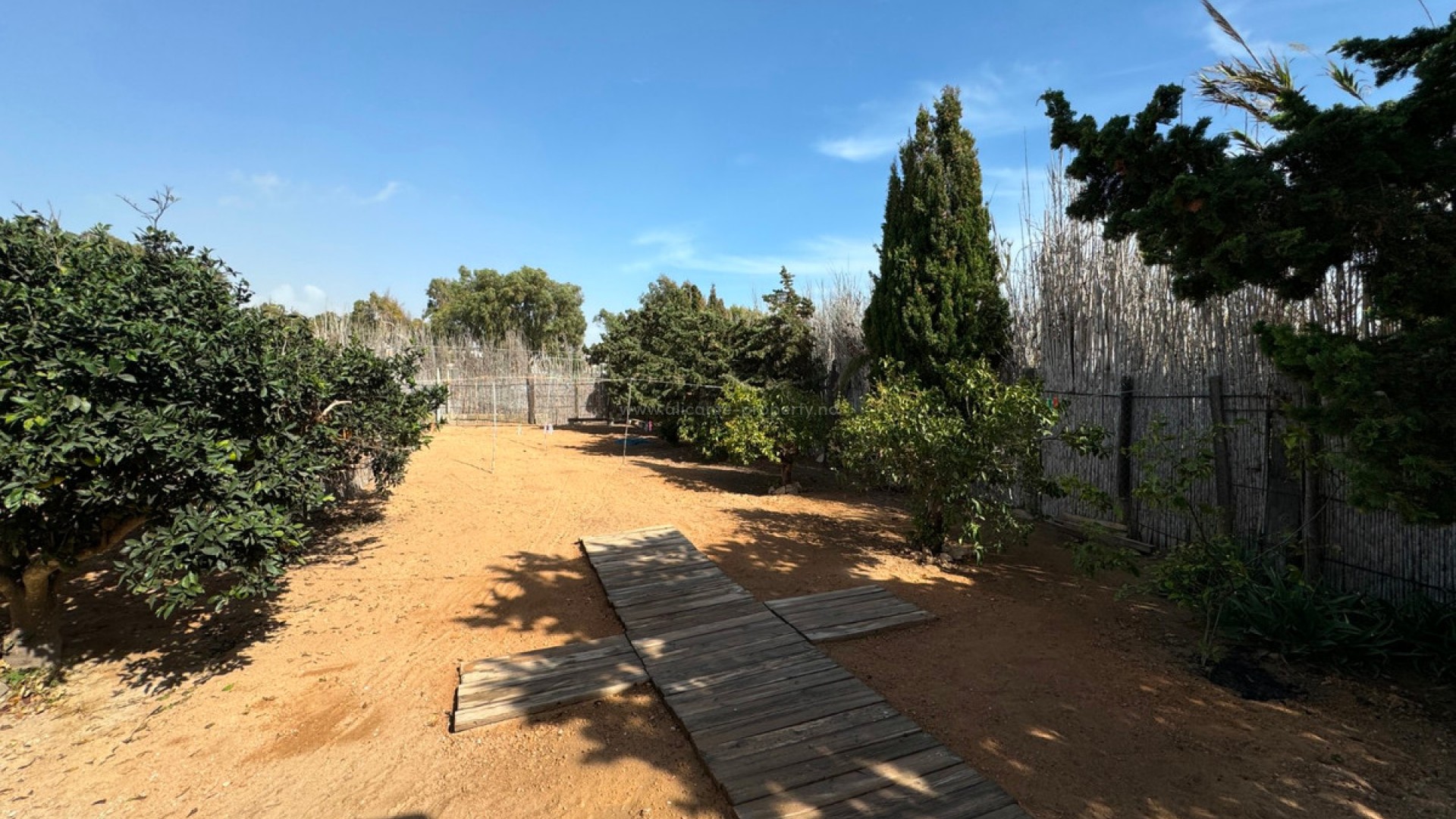 Villa en Guardamar del Segura Centro