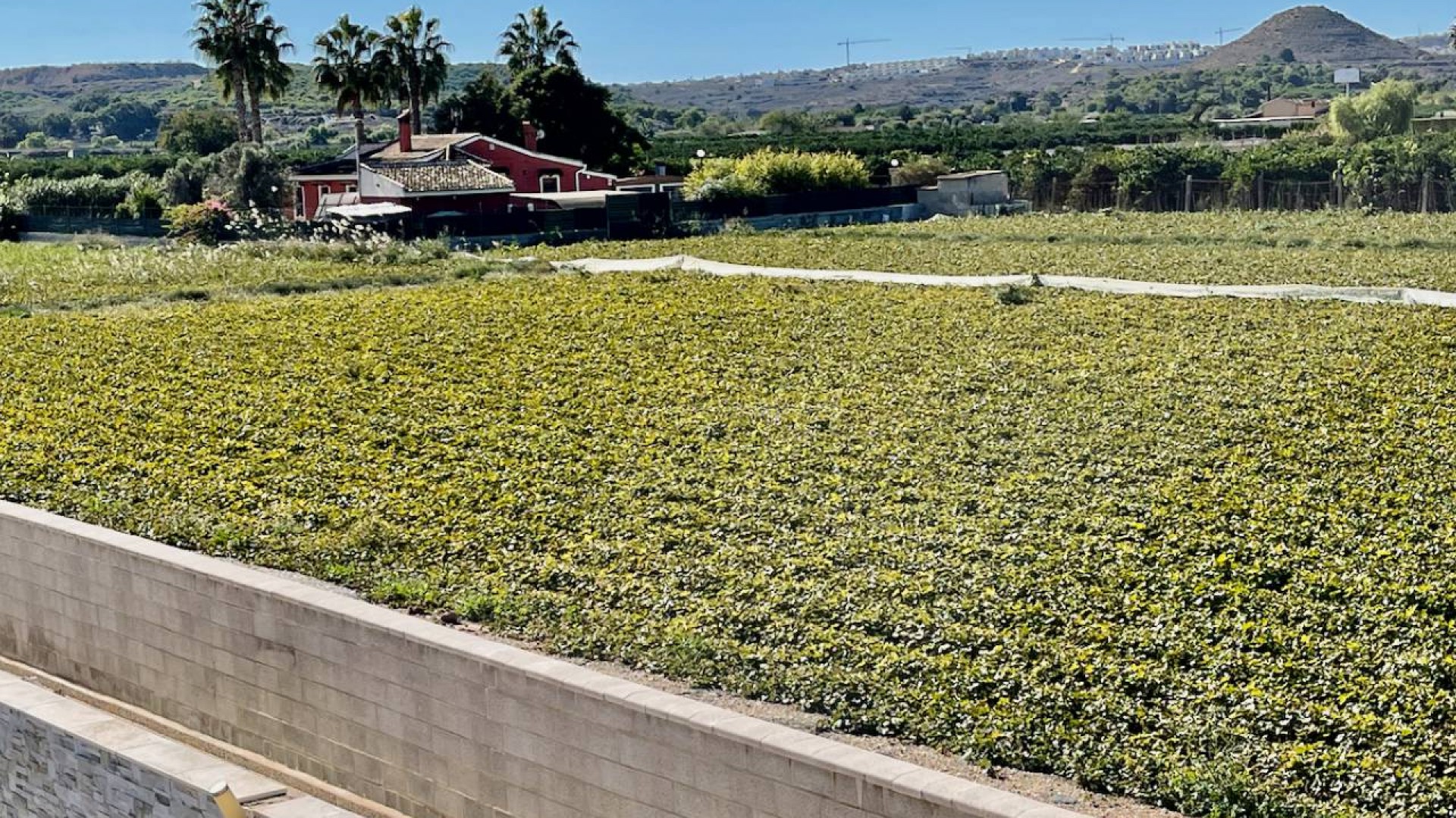 Villa en Guardamar del Segura