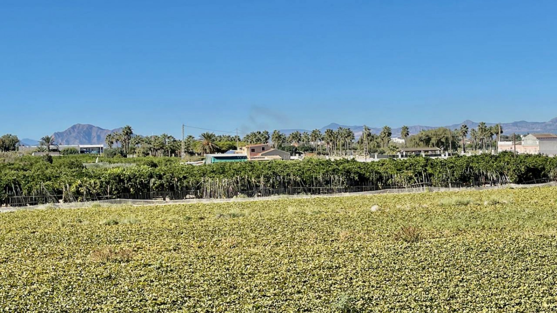 Villa en Guardamar del Segura