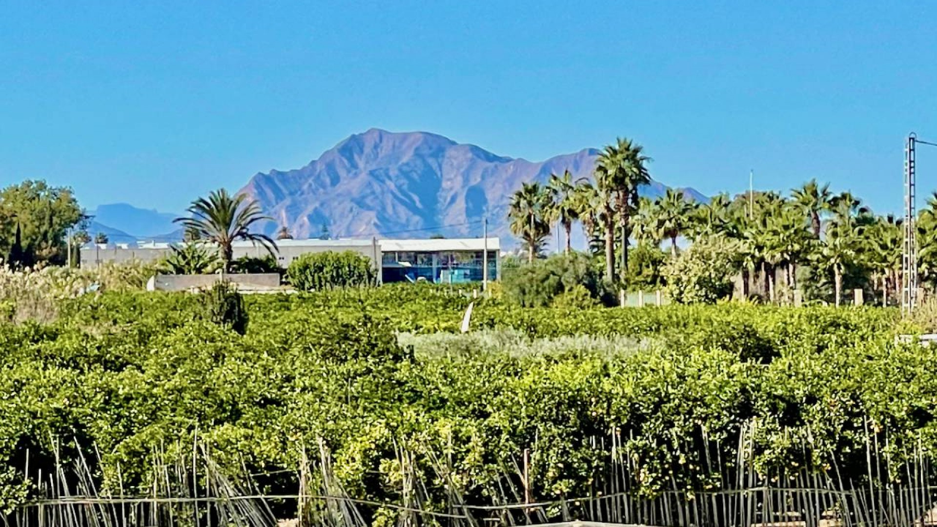 Villa en Guardamar del Segura