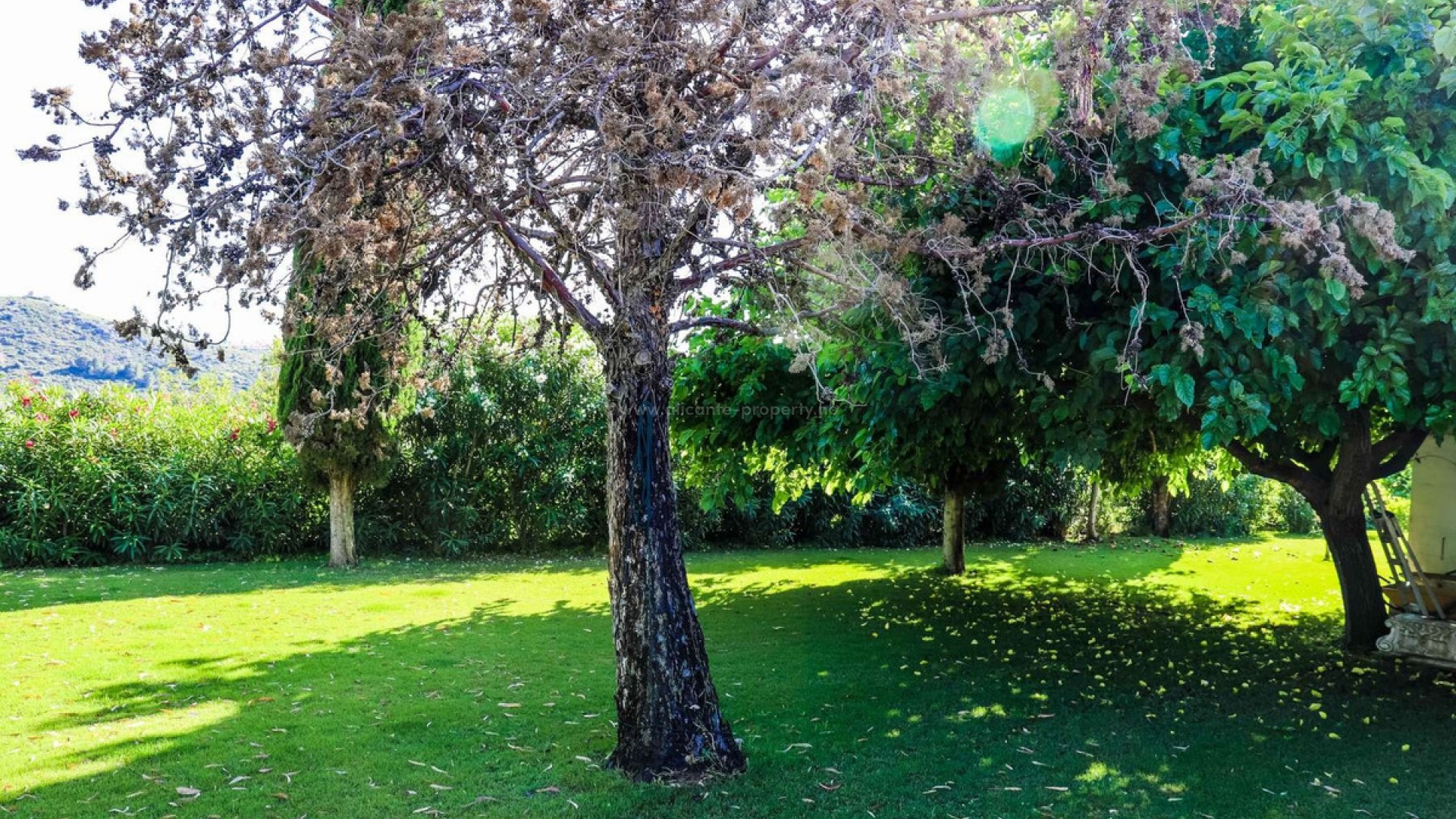 Villa en Jesús Pobre