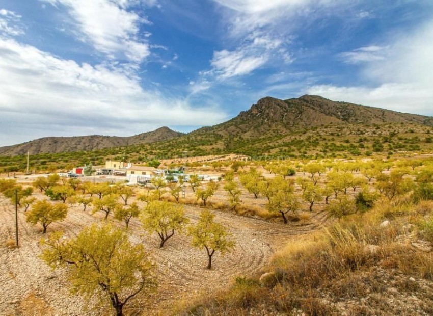 Villa en Jumilla Centro