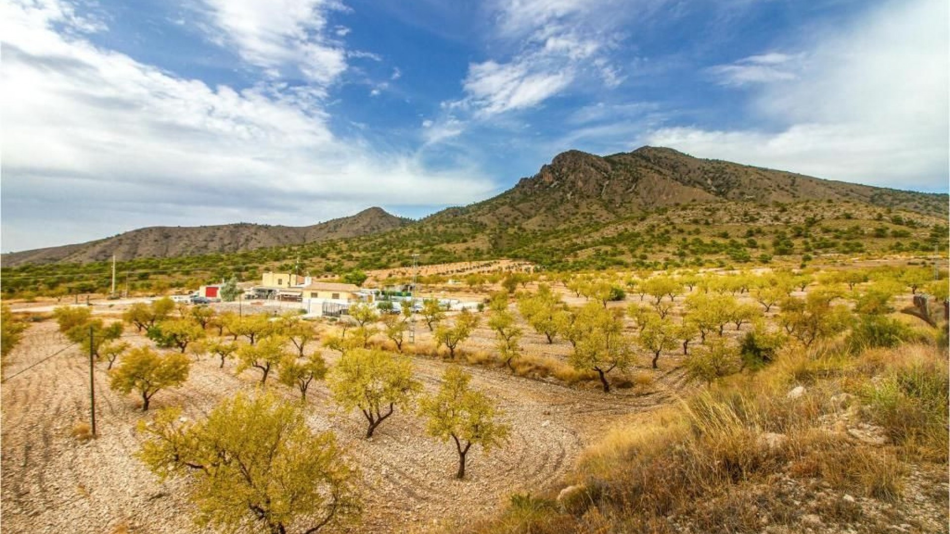 Villa en Jumilla Centro